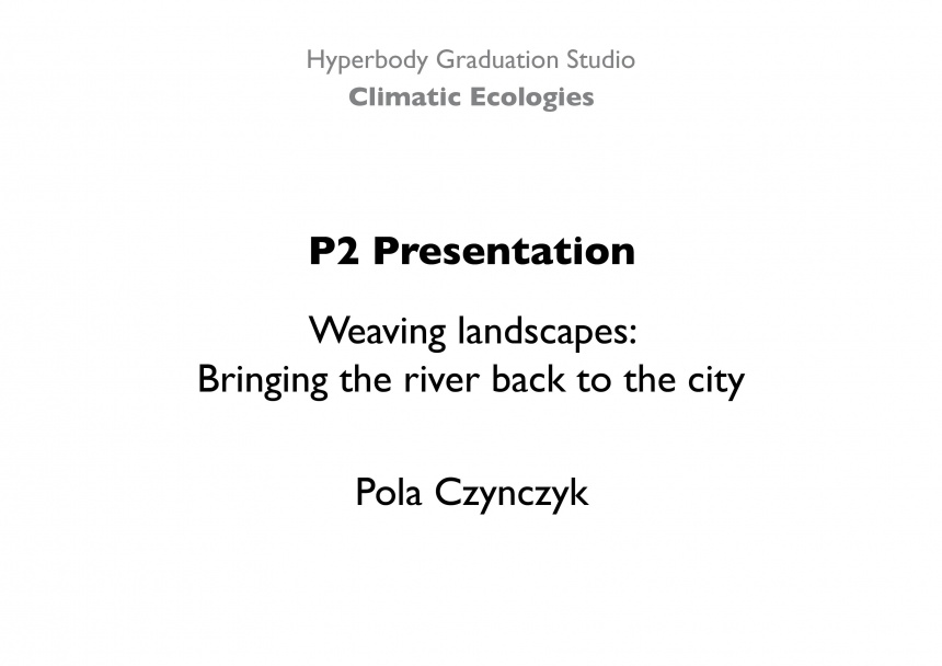 P2 Presentation.jpg