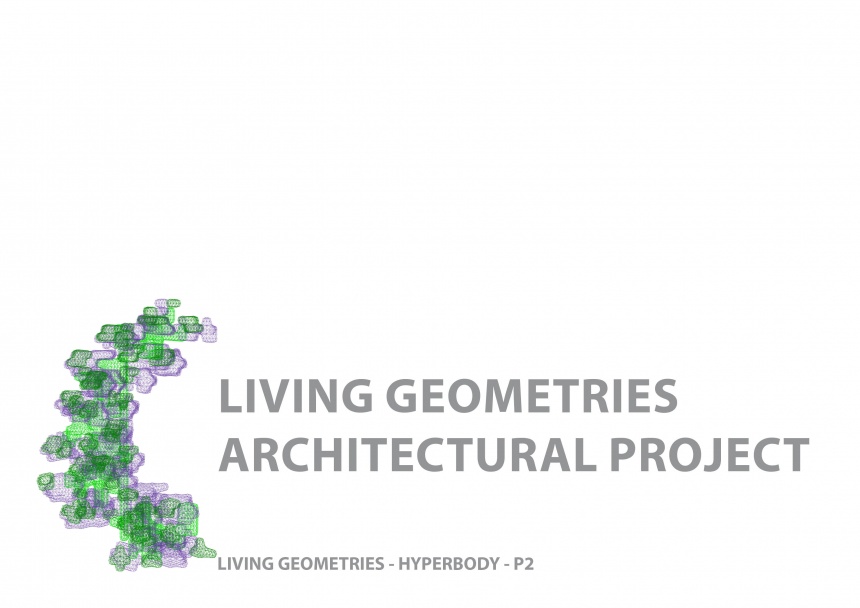 Living geometries P224.jpg