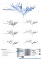 2d tree diagram11.jpg